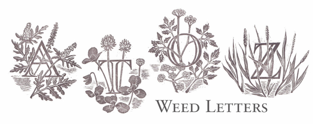 weedletters_logo